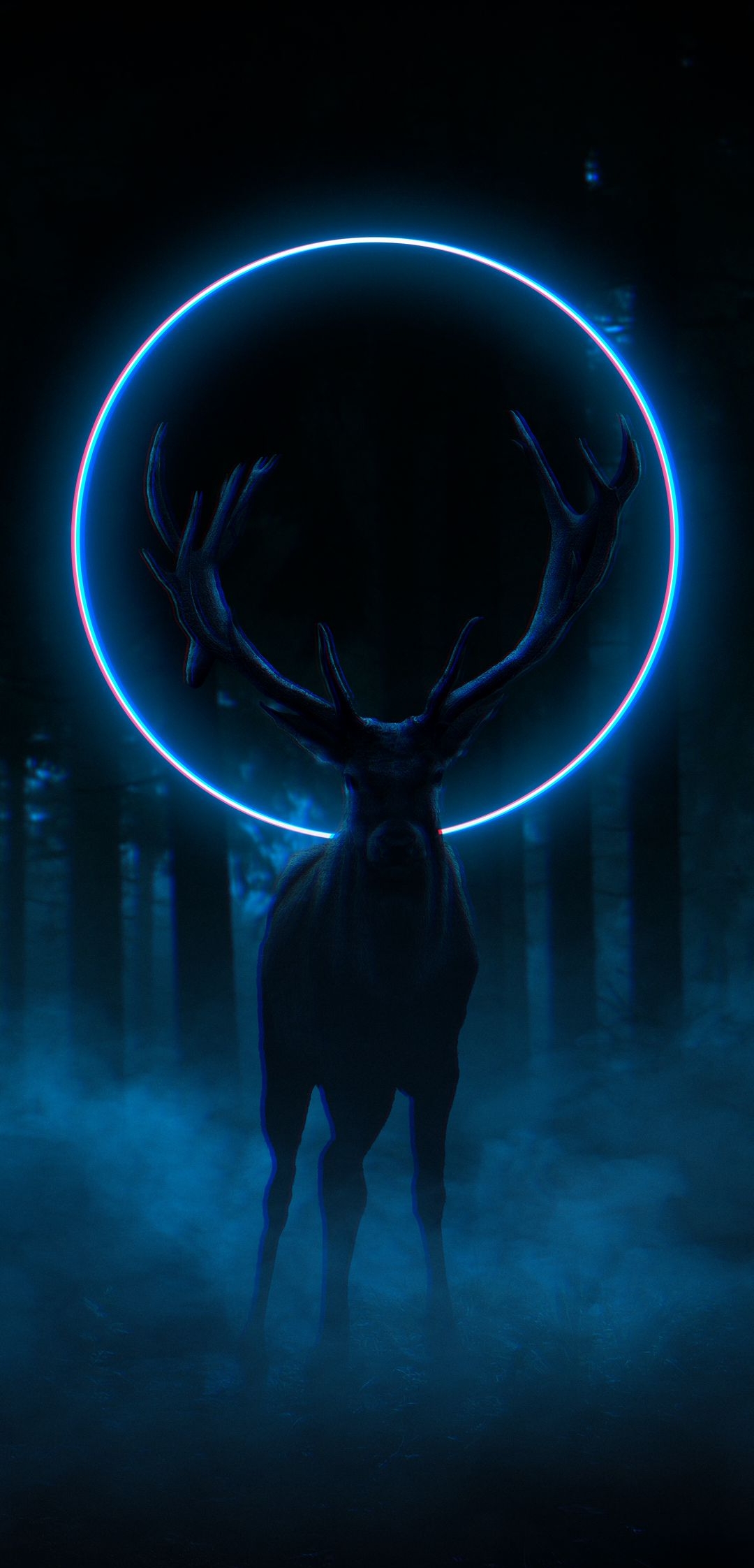Deer_Wildlife_HD